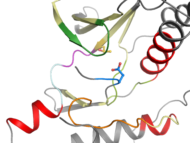 The orthosteric binding pocket