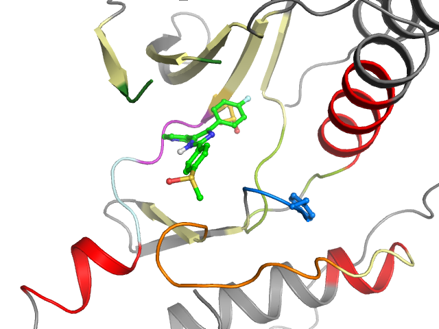 The orthosteric binding pocket