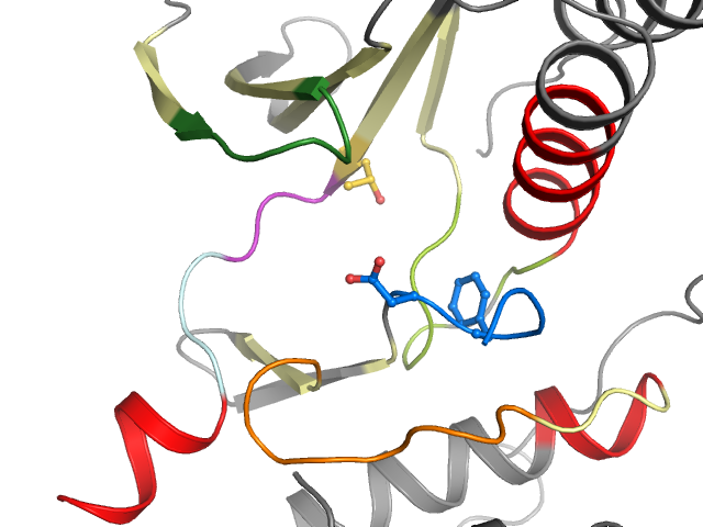 The orthosteric binding pocket