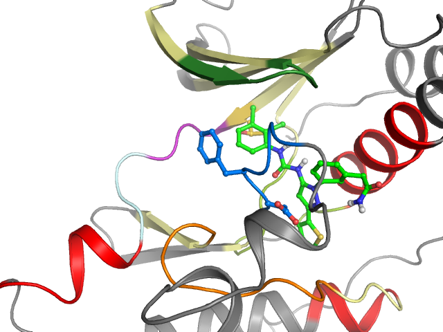 The orthosteric binding pocket