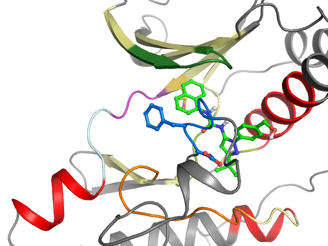 The orthosteric binding pocket
