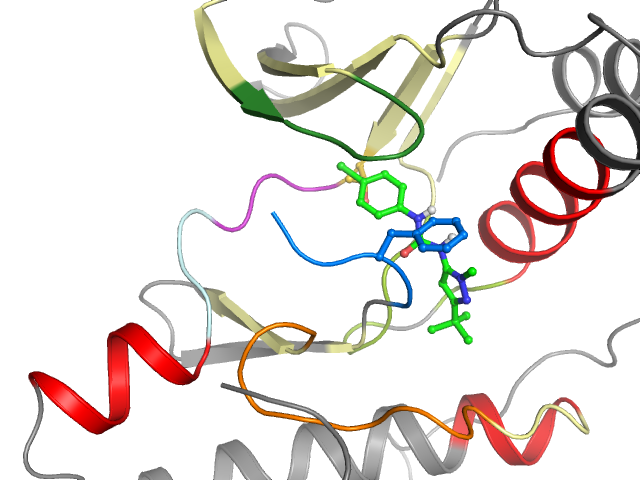 The orthosteric binding pocket