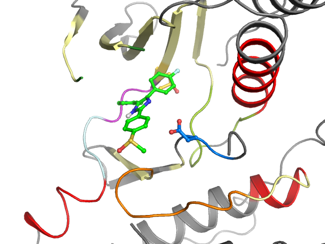 The orthosteric binding pocket