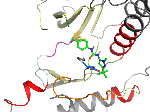 The orthosteric binding pocket