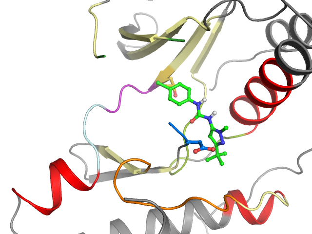 The orthosteric binding pocket