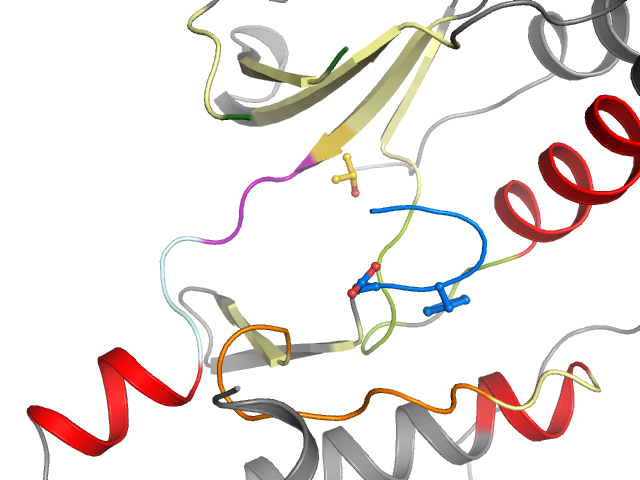 The orthosteric binding pocket