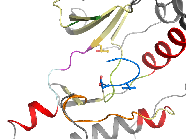 The orthosteric binding pocket