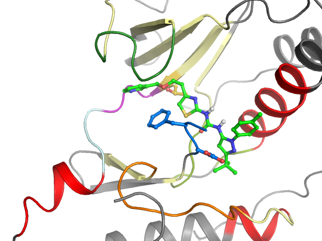 The orthosteric binding pocket