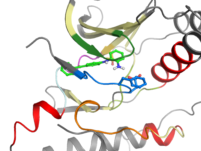 The orthosteric binding pocket