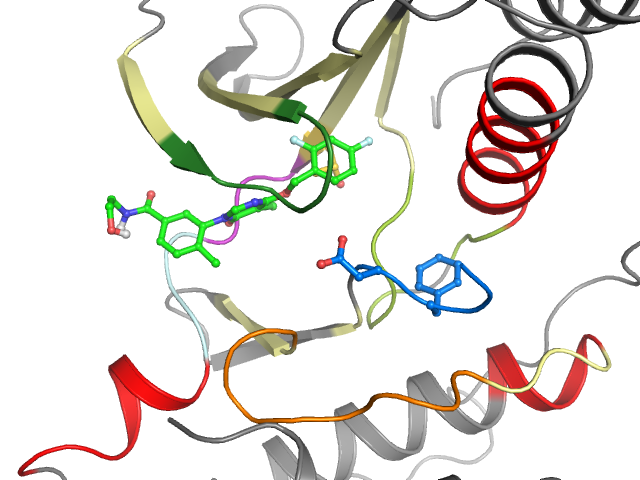 The orthosteric binding pocket