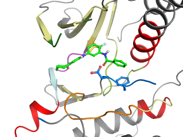The orthosteric binding pocket