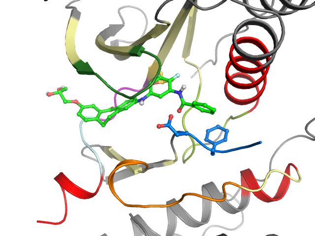 The orthosteric binding pocket
