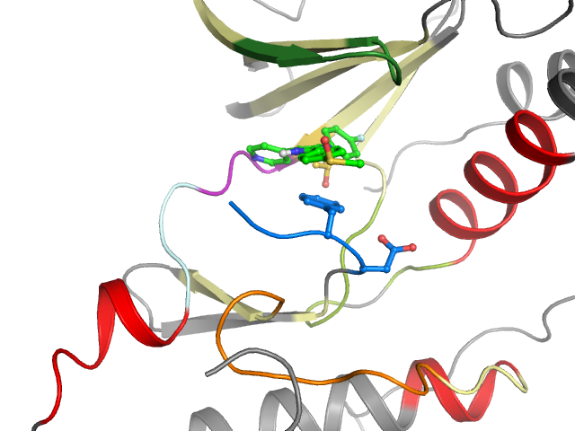 The orthosteric binding pocket
