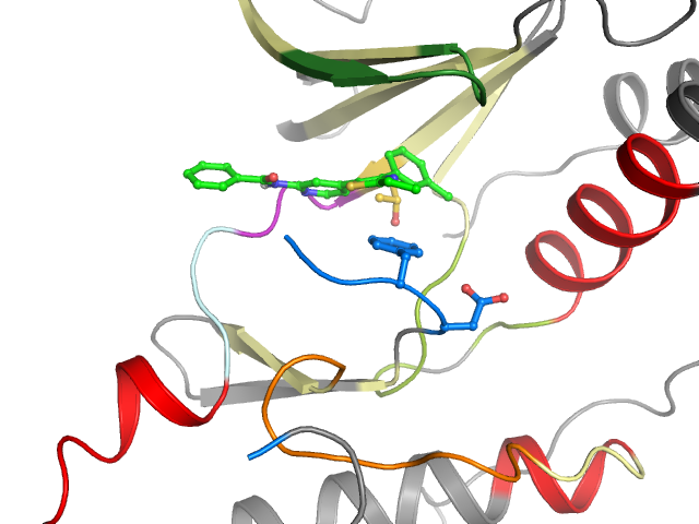 The orthosteric binding pocket