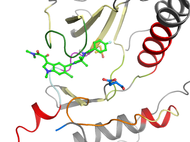 The orthosteric binding pocket