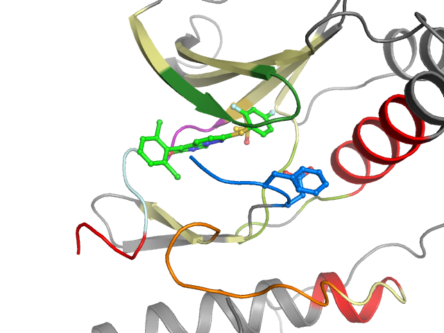 The orthosteric binding pocket