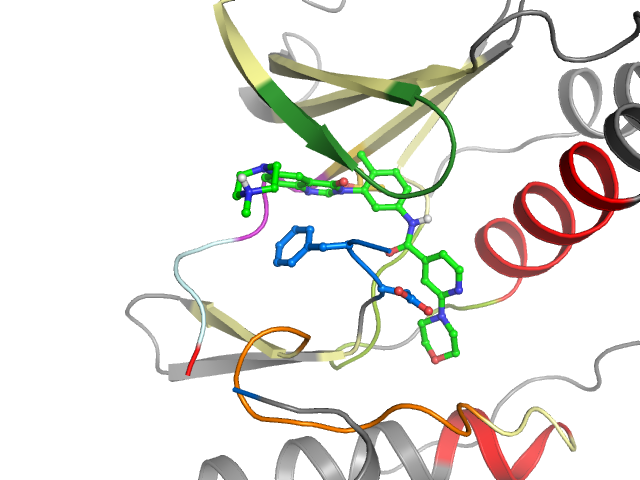 The orthosteric binding pocket