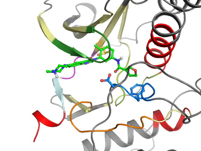 The orthosteric binding pocket