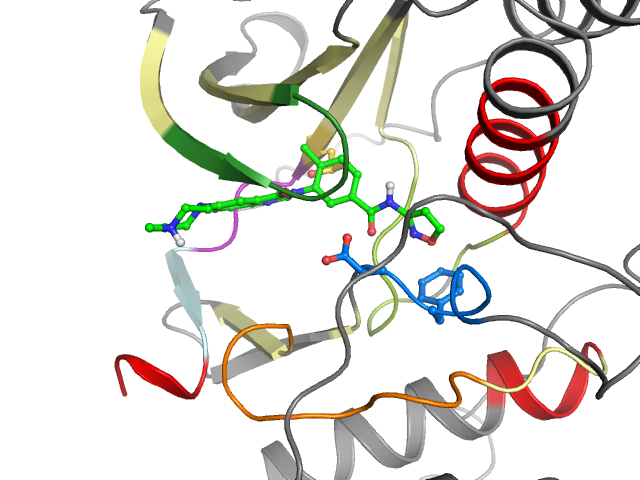 The orthosteric binding pocket