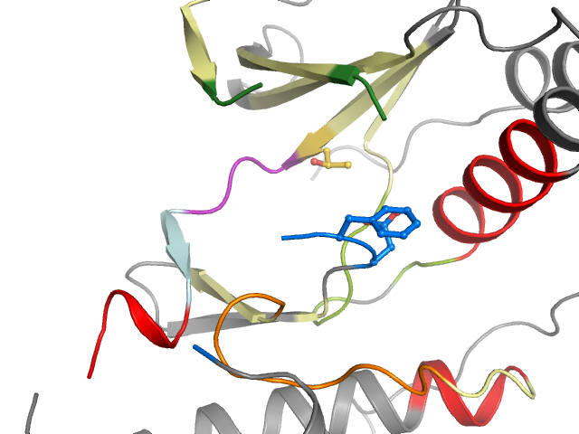 The orthosteric binding pocket