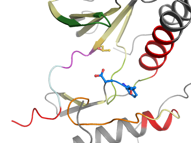 The orthosteric binding pocket