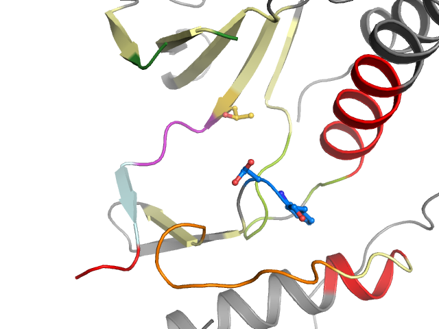 The orthosteric binding pocket