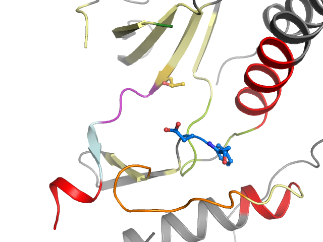 The orthosteric binding pocket