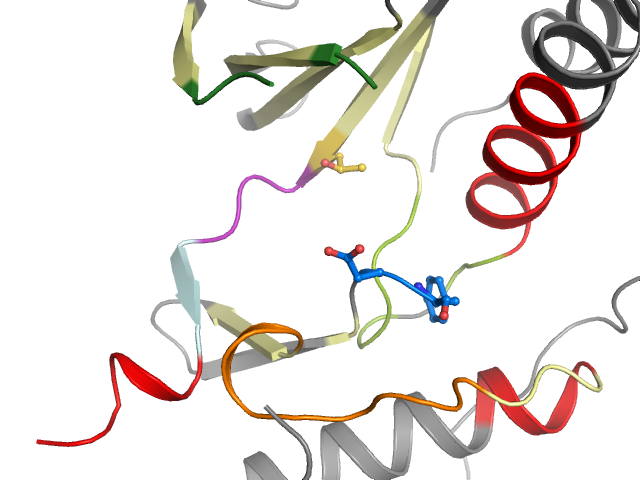 The orthosteric binding pocket