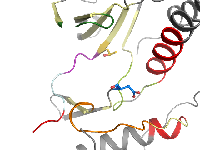 The orthosteric binding pocket