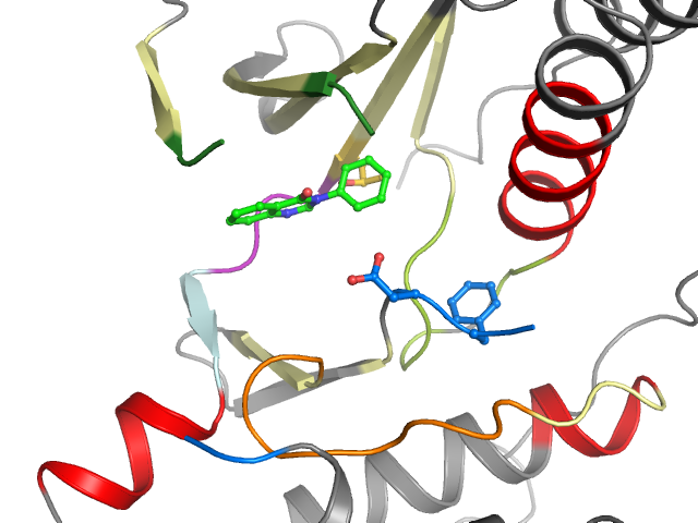 The orthosteric binding pocket