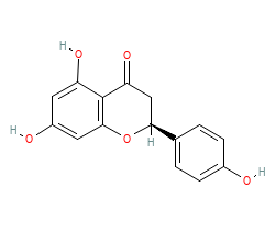 2D structure of the orthosteric ligand