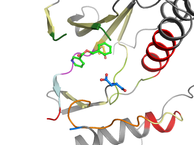 The orthosteric binding pocket
