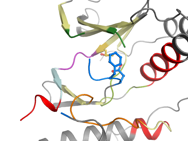 The orthosteric binding pocket