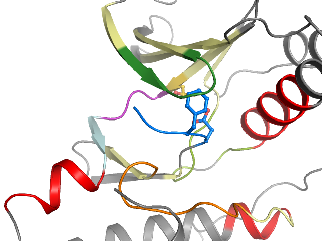 The orthosteric binding pocket