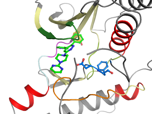 The orthosteric binding pocket