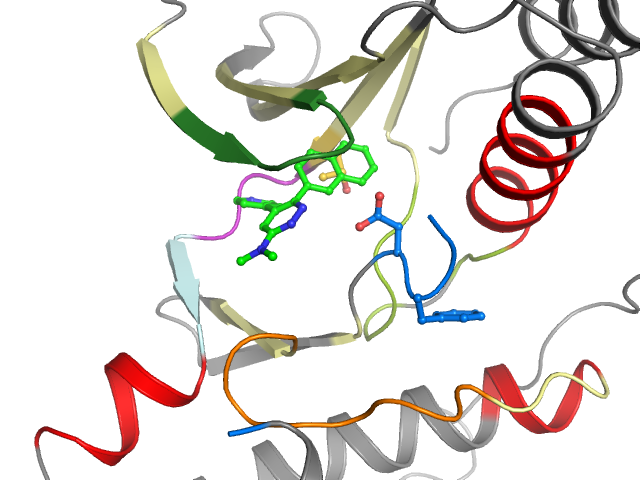 The orthosteric binding pocket
