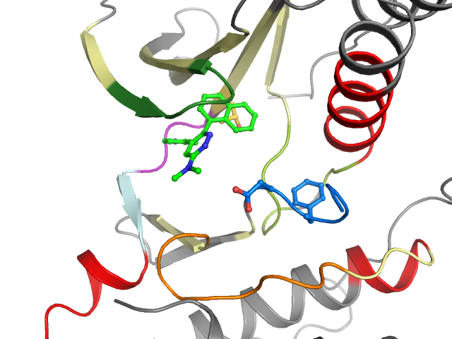The orthosteric binding pocket