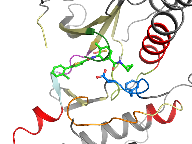 The orthosteric binding pocket