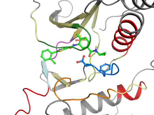 The orthosteric binding pocket
