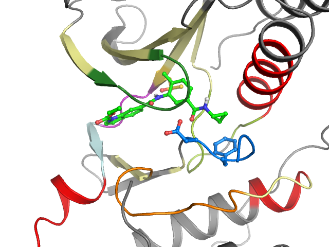 The orthosteric binding pocket