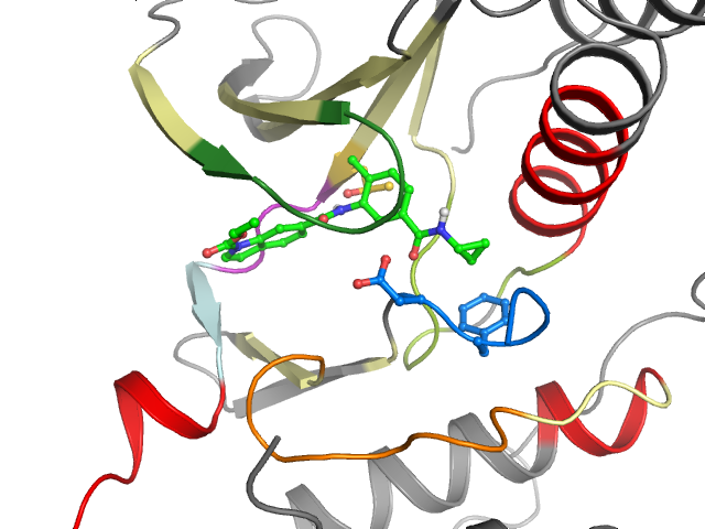 The orthosteric binding pocket