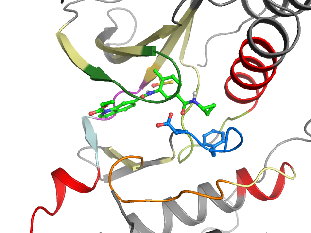 The orthosteric binding pocket