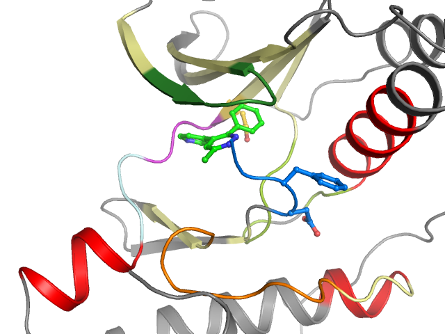 The orthosteric binding pocket