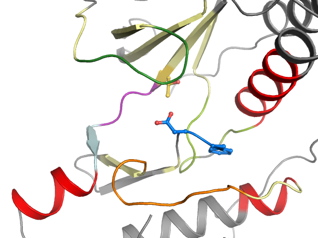 The orthosteric binding pocket