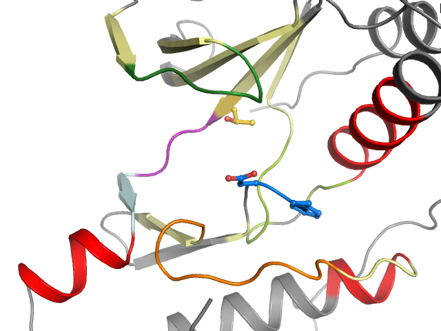 The orthosteric binding pocket