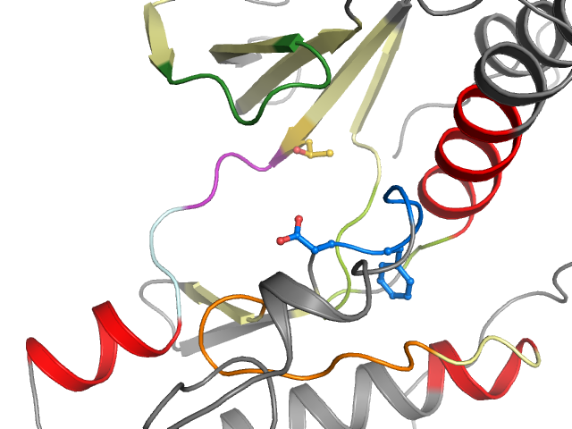 The orthosteric binding pocket