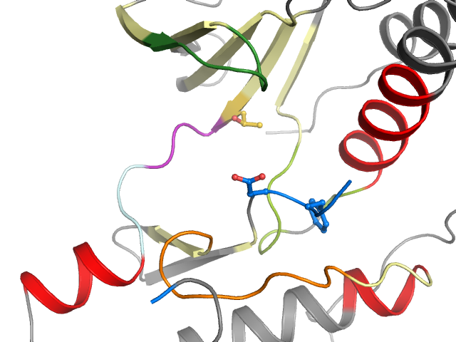 The orthosteric binding pocket