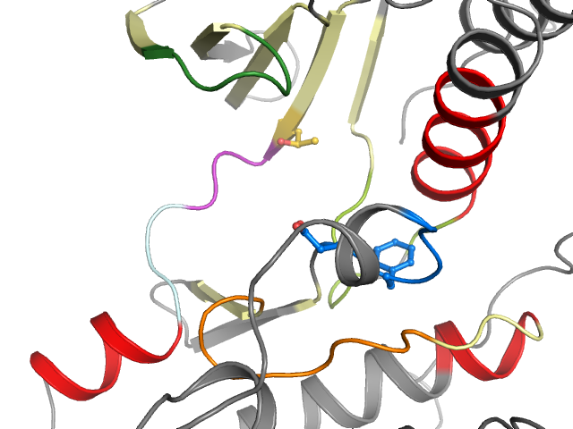 The orthosteric binding pocket