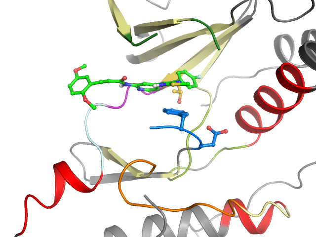 The orthosteric binding pocket