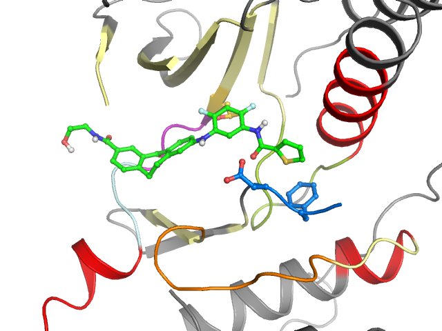 The orthosteric binding pocket